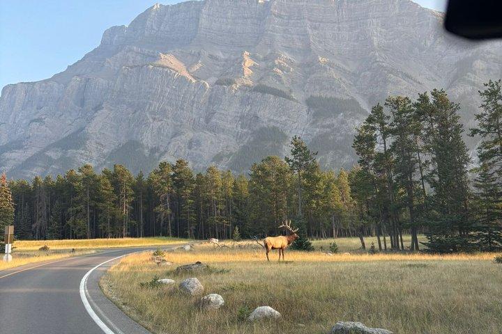 Banff Highlights & Wildlife | Award-Winning Small Group Adventure