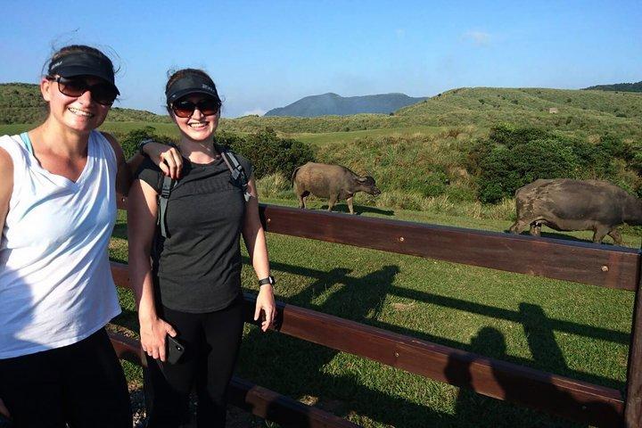 Från Taipei: Yangmingshan & Beitou Private 8 - Hour Day Tour