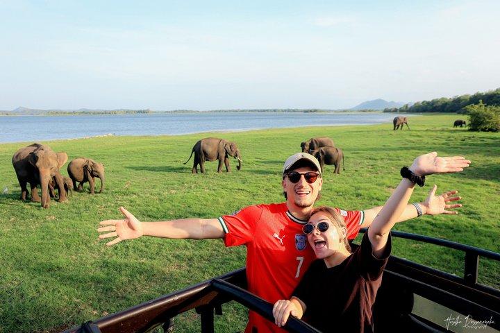Mineriya Nationalpark Privat Jeep Safari med Ekspert Vejleder