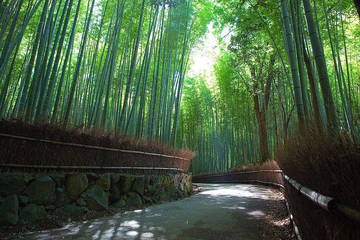 金閣寺、嵐山、愛宕念仏寺の訪問