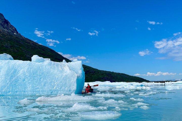 アンカレッジ発クニク氷河オフロード&カヤックアドベンチャー