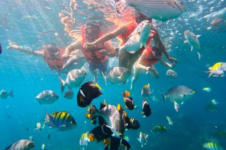 Los Arcos 5 Island Tour de barco e snorkeling