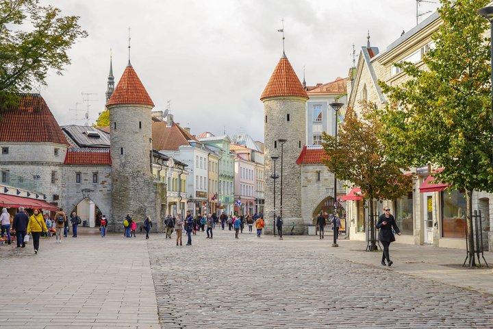 Tallinn Gamla Stan Vandringstur Medeltida till Digital Estland