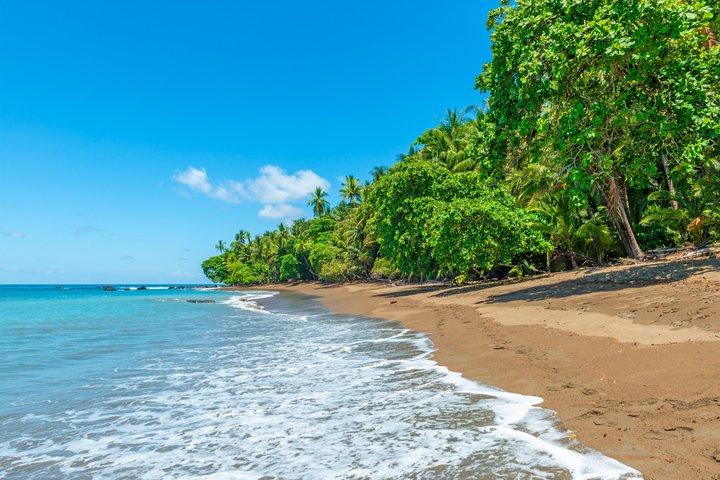 Cahuita Park Beach Break. Escursione a Puerto Limon