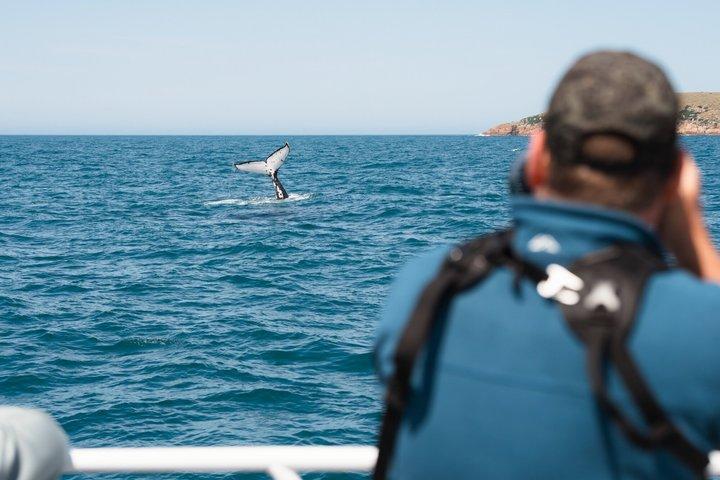 Wilsons Prom Whale Cruise