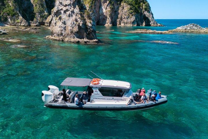 Coromandel Adventure og Wildlife Boat Tour til Aldermen Islands