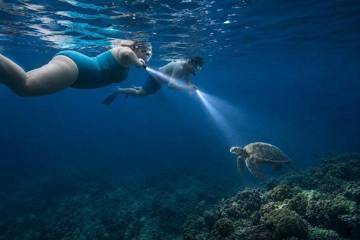 Turtle Town After Dark : Snorkeling con luci e stelle