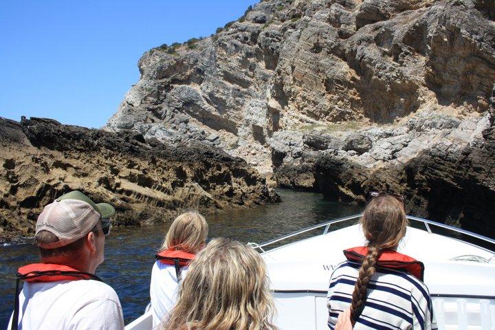 Boottocht in Sesimbra: grotten en snorkelen met een lokale gids.