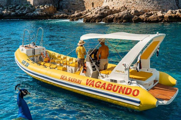 Lokrum & Blue Cave | Full Day Tour (Lokrum Ticket Included)