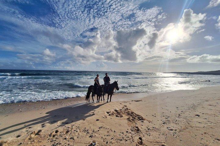 Aruba Countryside: Hesteeventyr til Urirama Cove