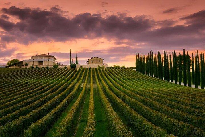 da Roma Montepulciano e Montalcino, le Strade del Vino