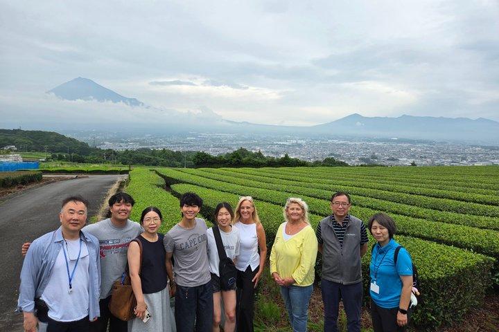 Tour breve del Monte Fuji dal porto di Shimizu