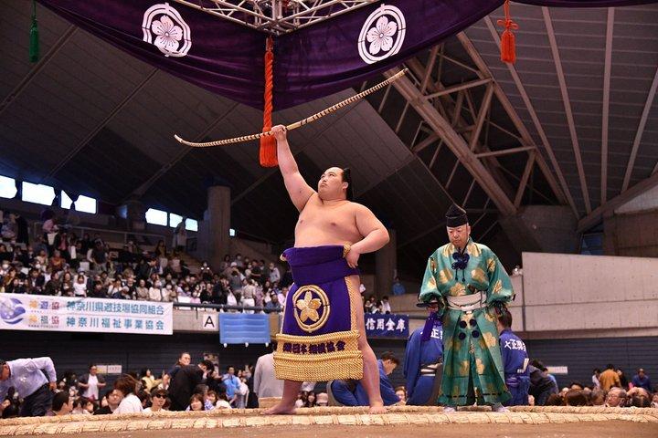 Sumo Regional Exhibition Tour with an English-Speaking Guide