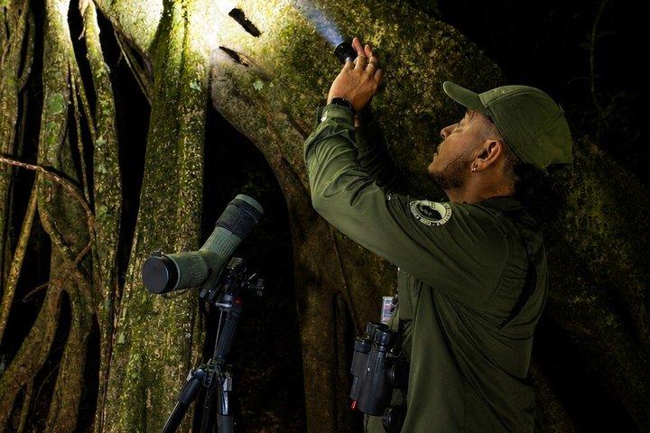 Tour guidato notturno nella foresta delle nuvole di Monteverde