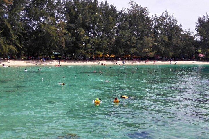 Tunku Abdul Rahman Marine Sapi y Manukan Snorkeling con almuerzo