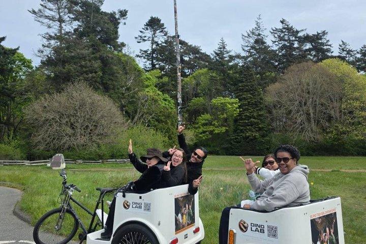 Panorama Victoria Pedicab Tour - 2 Std. 4 - 8 Personen