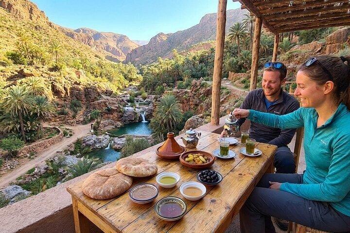 Excursion dans la vallée du Paradis avec jardin botanique + Petit-déjeuner berbère