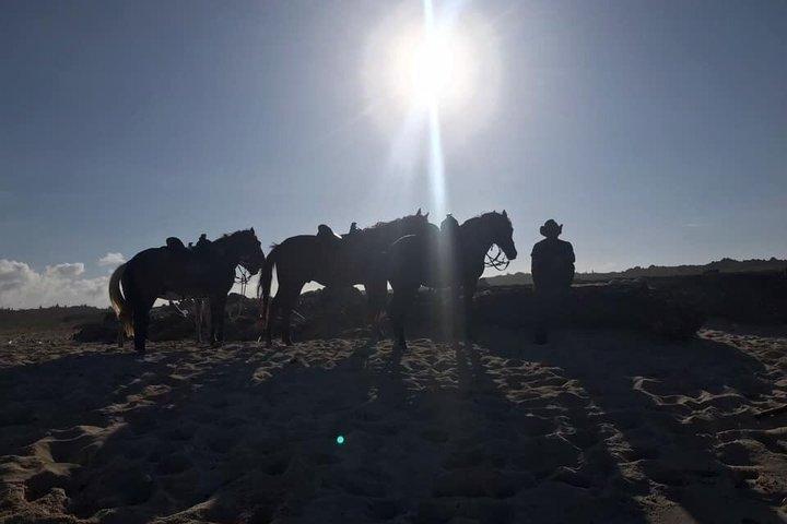 Zonsondergang Paardrijden op Aruba