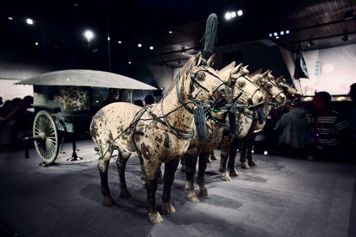 Visite privée de l'armée de terre cuite et des chars de bronze (Lishan Garden)
