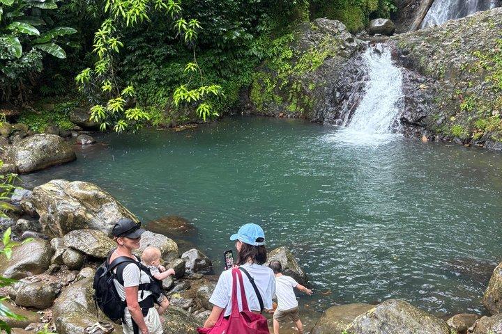 Il meglio di Grenada: cascate, cioccolato, rum e tour della foresta pluviale
