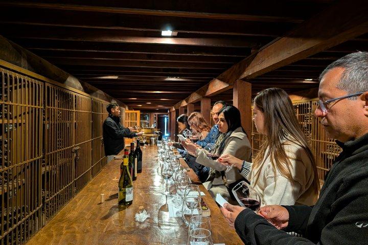 Viña Santa Rita Premium Tour och 5 vinprovning liten grupp