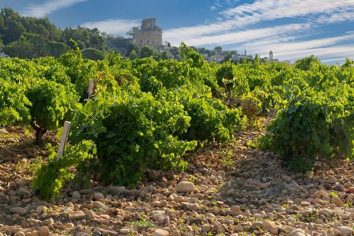 Por dentro de Châteauneuf-du-Pape: uma experiência vinícola