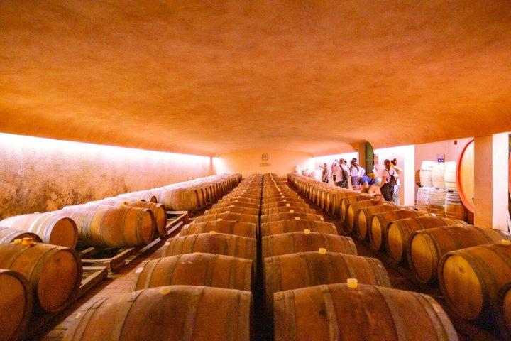 Chianti Hills e-biketour met Toscaanse lunch en twee wijnproeverijen