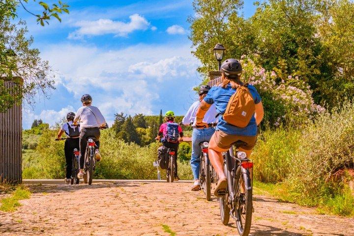 Chianti Hills e-biketour met Toscaanse lunch en twee wijnproeverijen