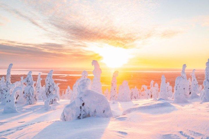 Riisitunturi & World’s Northernmost Roller Coaster from Rovaniemi