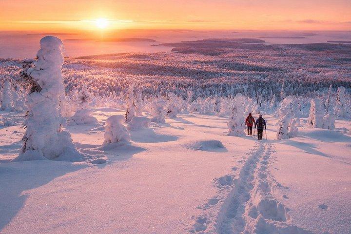 Riisitunturi & World’s Northernmost Roller Coaster from Rovaniemi