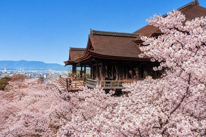 1 dag Kyoto Busstur till UNESCO:s världsarvslista