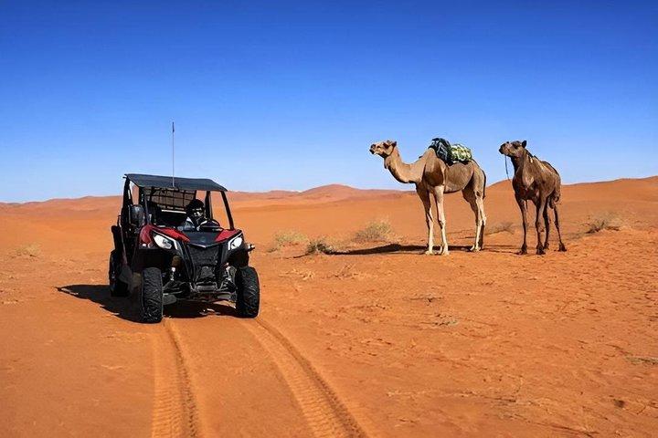 Aventura en Buggy en Merzouga Erg Chebbi