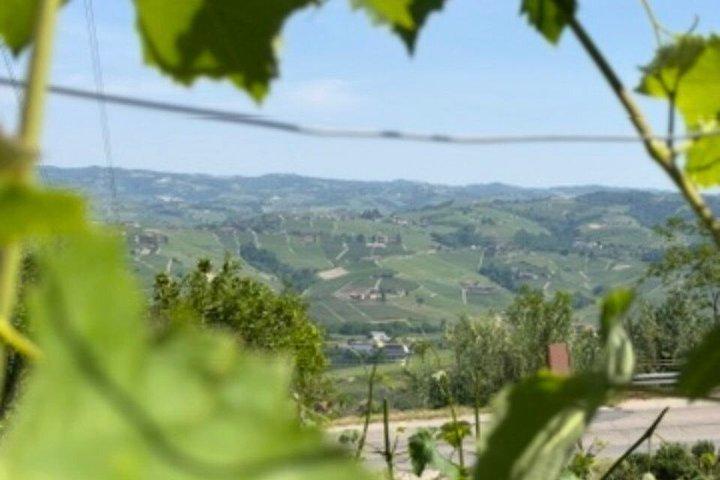 Visite privée du vin · Barolo au-delà de la foule · De Milan