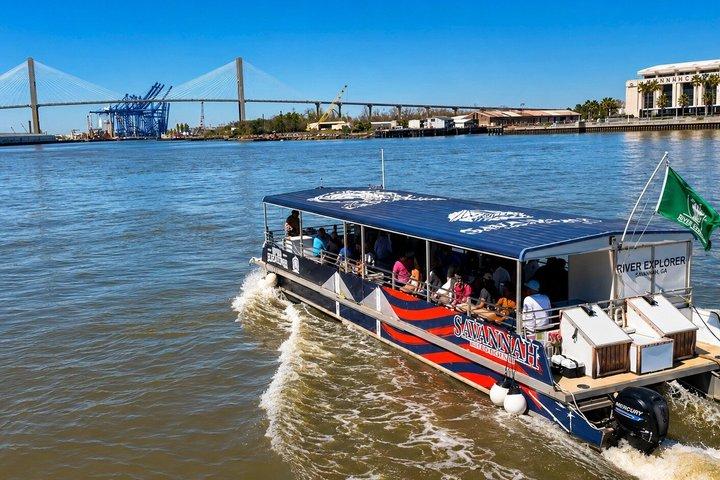 2 horas de passeio ecológico com golfinhos
