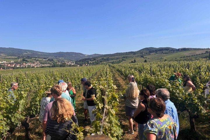 Experiencia de cata de vinos para grupos pequeños en la campiña toscana