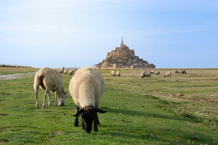 Escursione a terra di Honfleur: gita privata di un giorno a Mont-Saint-Michel
