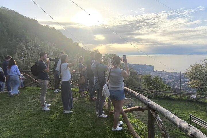 Tour d'une journée à la ferme de Sorrente : Classe de pizza, Fromagerie, Vin, Pick-up