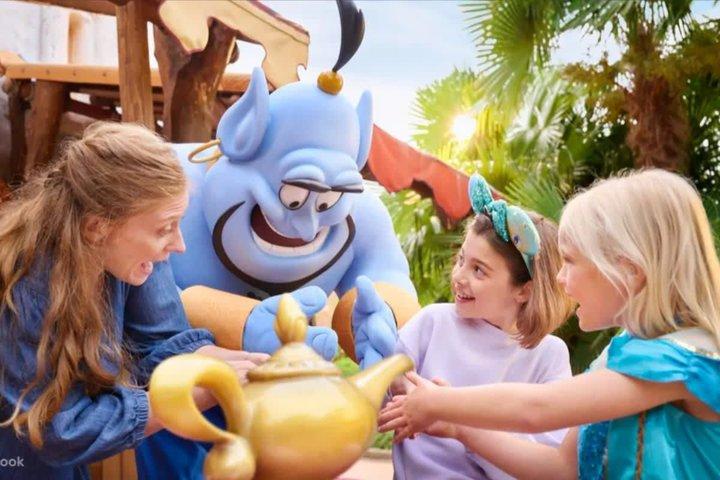 Disneyland Paris temapark biljett med tur och retur tågtransfer
