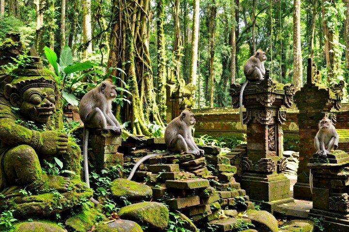 Hoteller i nærheden af Ubud Monkey Forest Temple Waterfall and Rice Terrace Tour