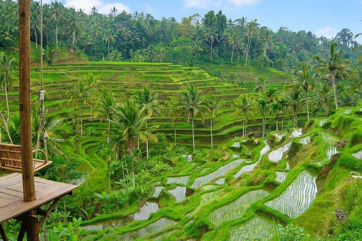 Hoteller i nærheden af Ubud Monkey Forest Temple Waterfall and Rice Terrace Tour