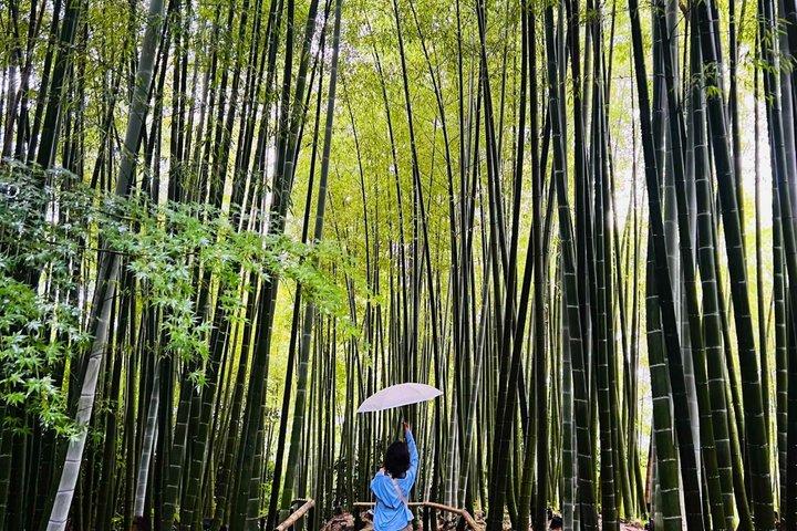 Kyoto Hoogtepunten Privé dagtour vanuit Osaka of Kyoto