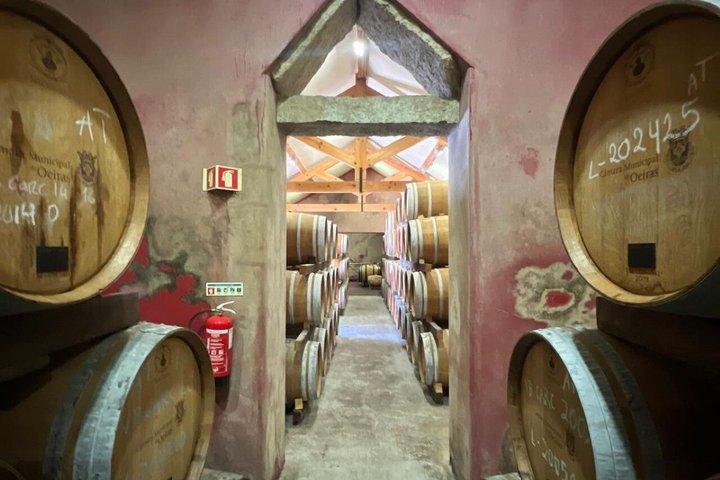 Cascais Half Day Wine Tasting Tour