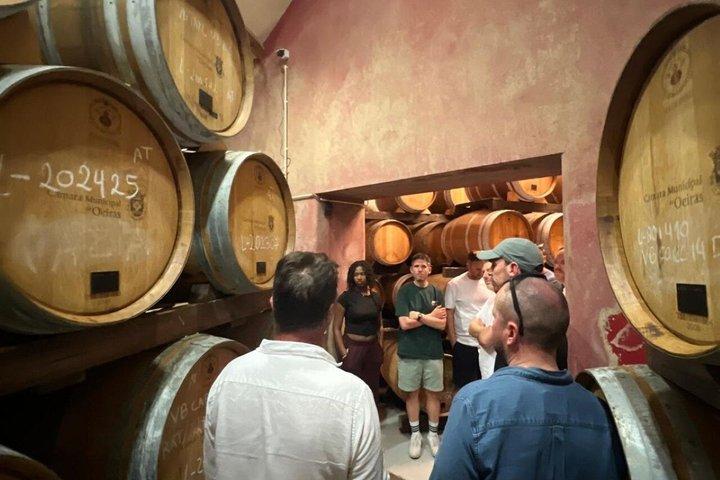 Cascais Half Day Wine Tasting Tour