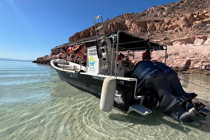 Tour Guiado a Isla Espíritu Santo