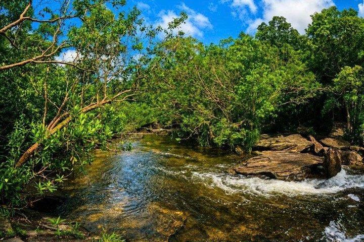 Fairy Stream (Suối Tiên) Hiking Tour – Phú Quốc (MAX 8-10 PAX)