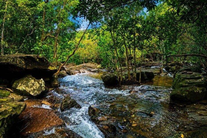 Fairy Stream (Suối Tiên) Hiking Tour – Phú Quốc (MAX 8-10 PAX)