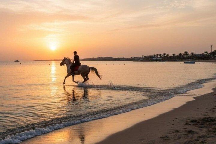 Hoteller i nærheden af Nabq Bay Beach, Desert Sunrise & Sunset-Sharm El Sheikh