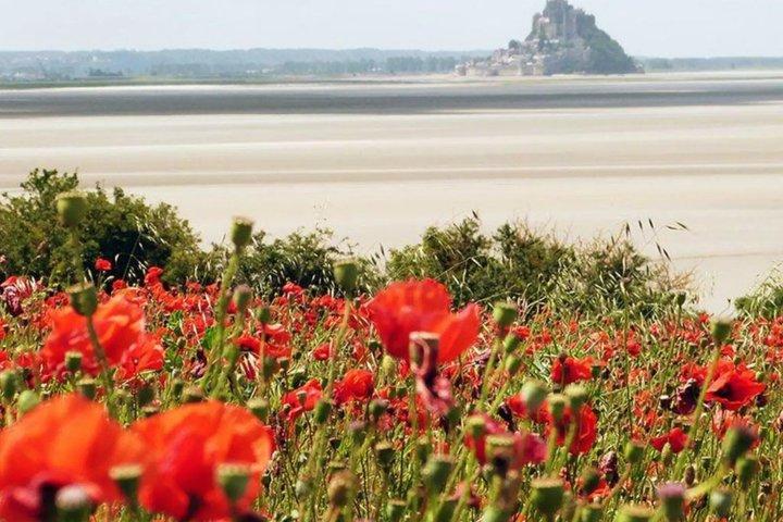 Aldrig besegrad: Mont Saint-Michel självguidad vandringstur