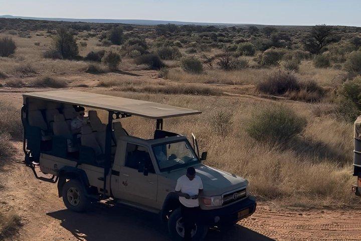 Excursión de un día al Santuario de Vida Silvestre de N/a'an ku se desde Windhoek