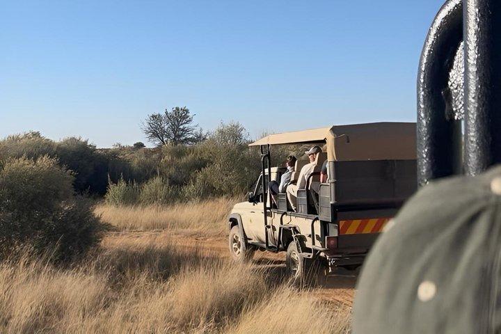 Excursión de un día al Santuario de Vida Silvestre de N/a'an ku se desde Windhoek